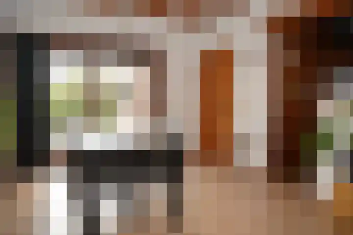 Brouwerijstraat 17 Aardenburg thumbnail 10