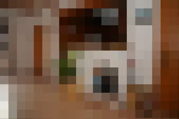 Brouwerijstraat 17 Aardenburg thumbnail 6
