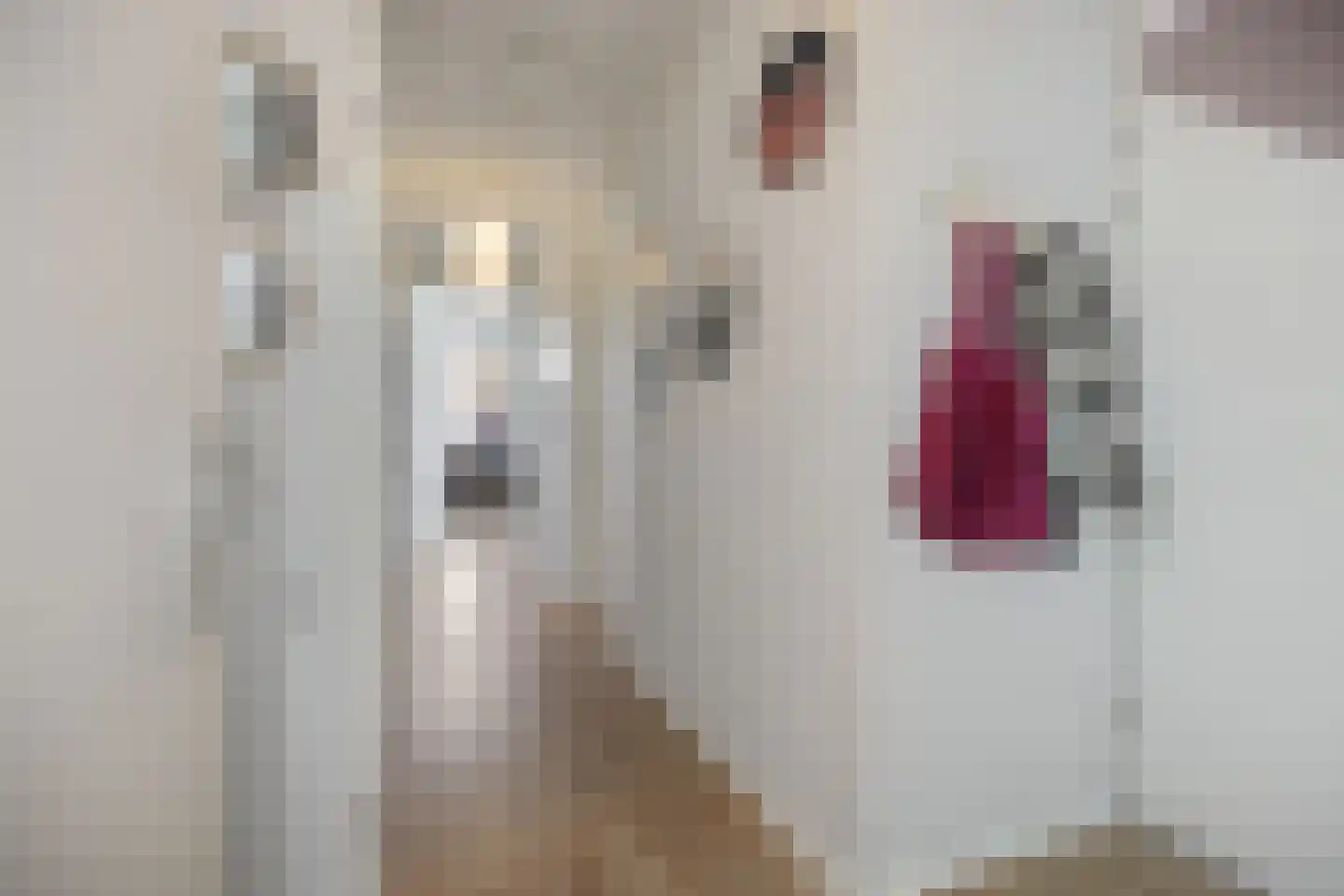 Brouwerijstraat 2 E Rosmalen thumbnail 8