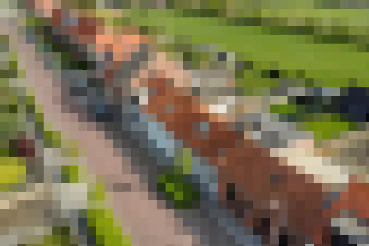 Brouwerijstraat 20 Groede thumbnail 5