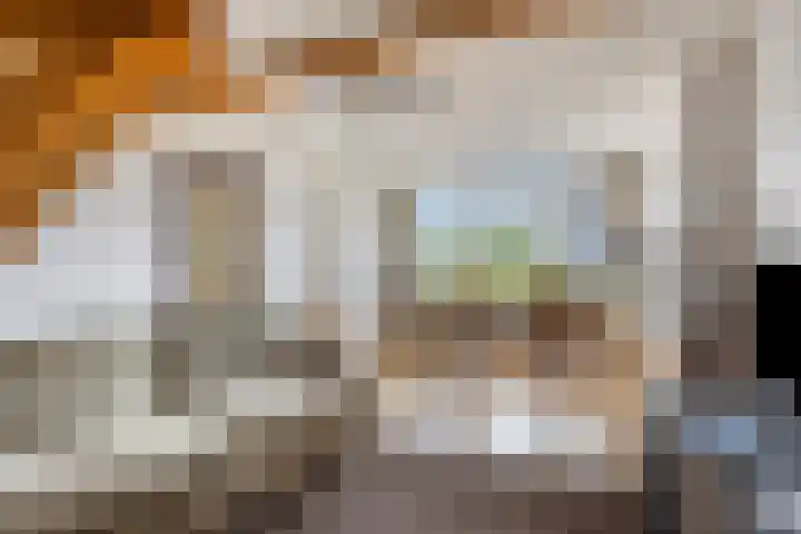 Brouwerijstraat 24 Groede thumbnail 6
