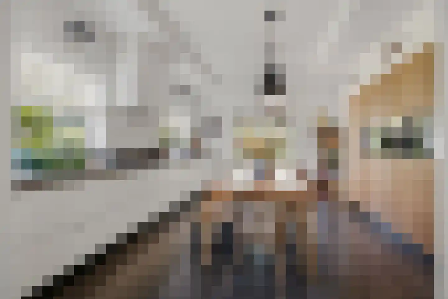 Brouwerijstraat 27 Wagenberg thumbnail 6