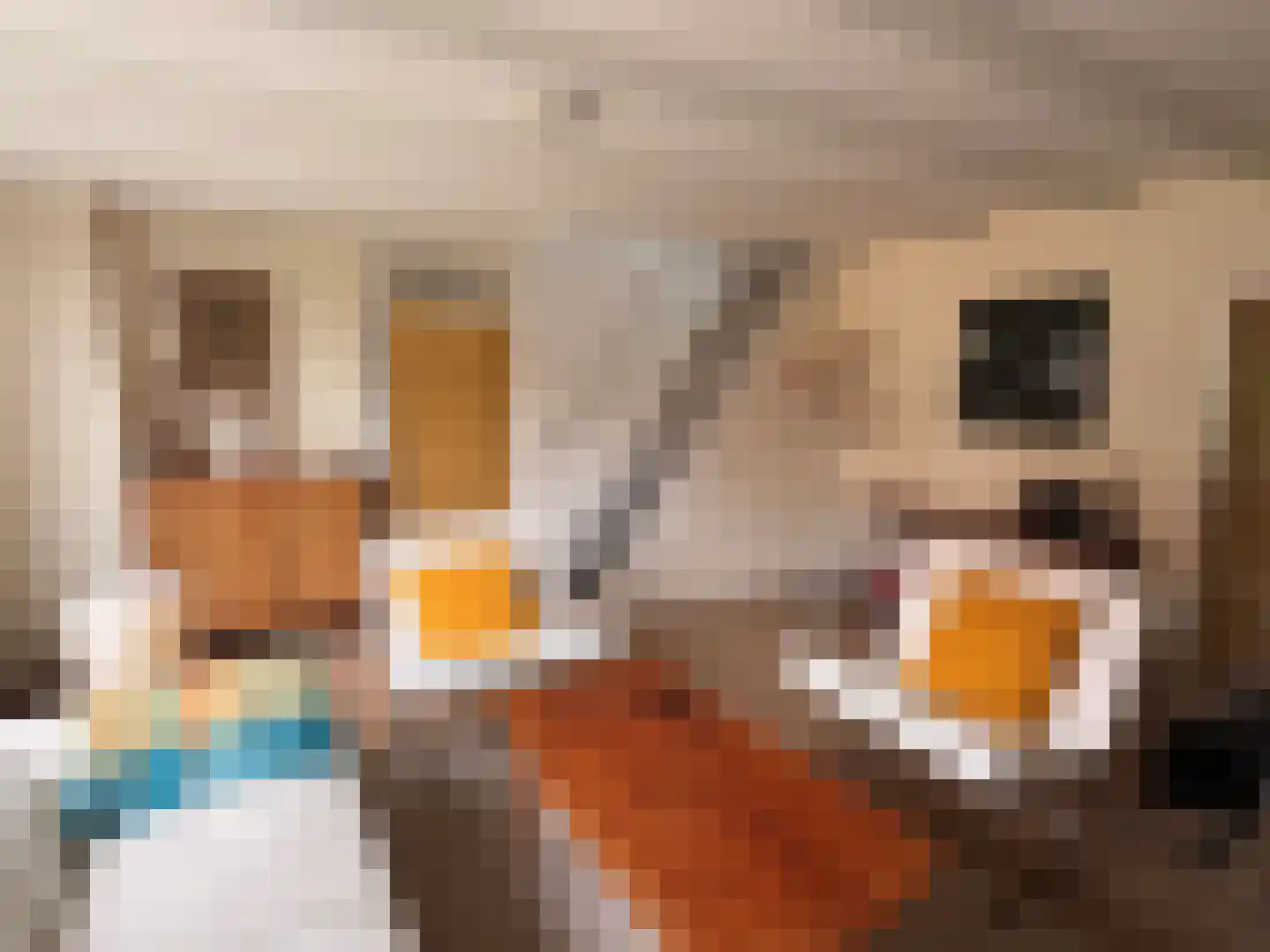 Brouwerijstraat 33 Groede thumbnail 5