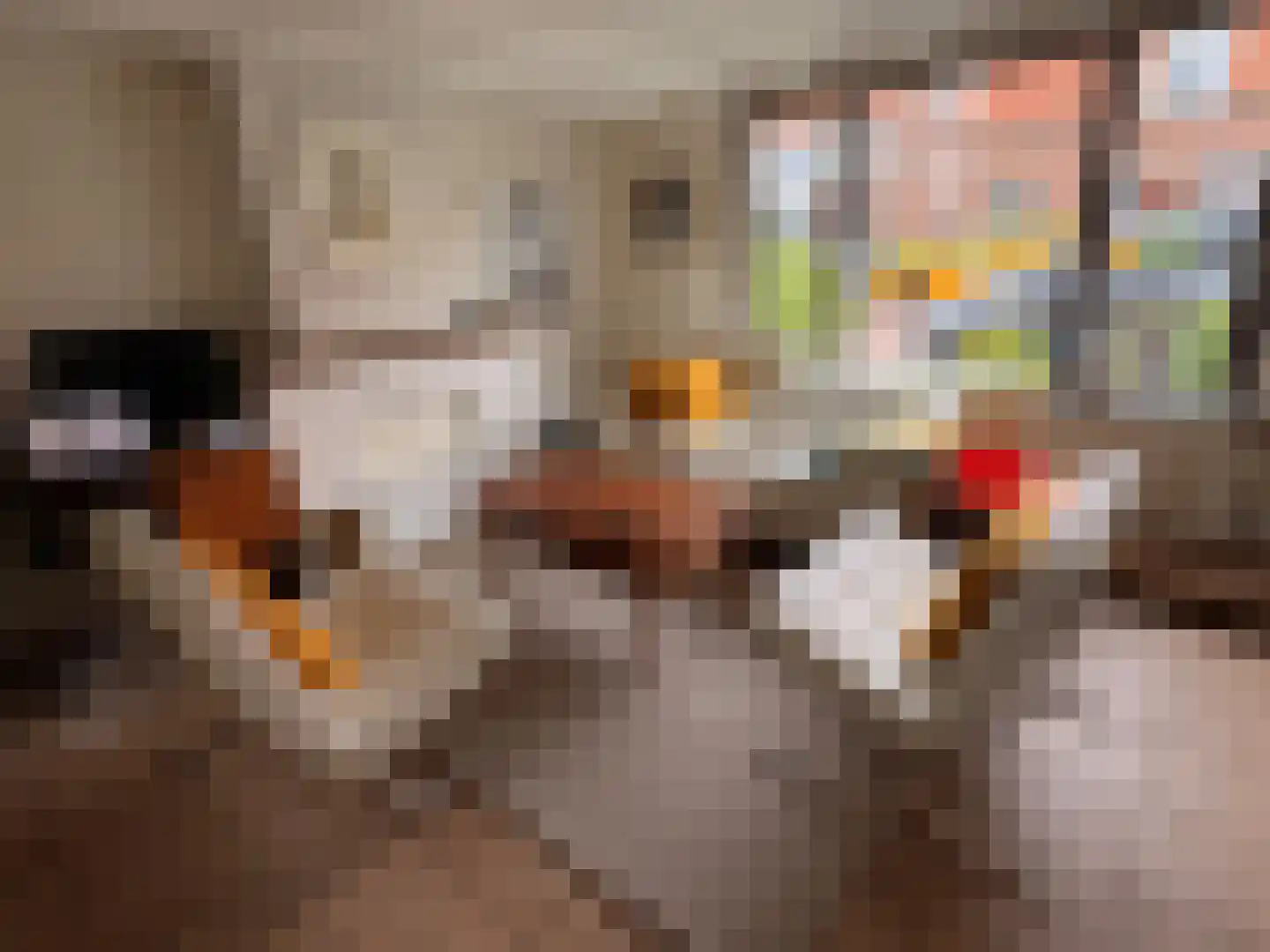 Brouwerijstraat 33 Groede thumbnail 7