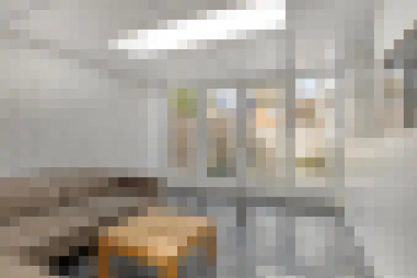 Brouwerijstraat 34 A Wagenberg thumbnail 26