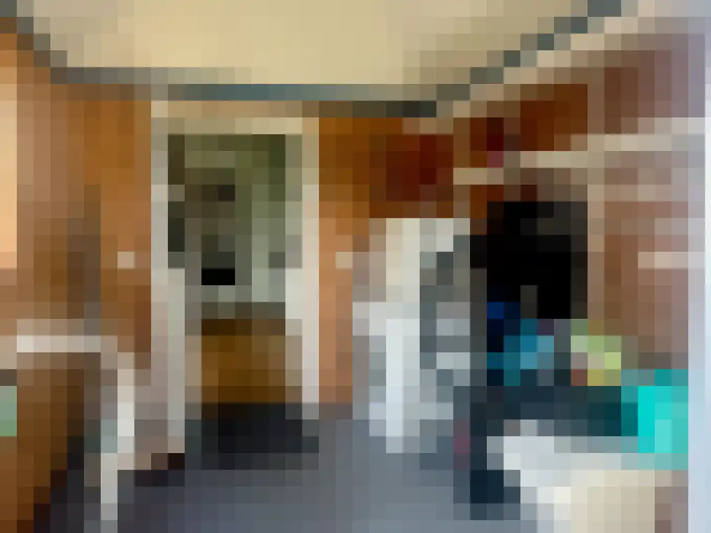 Brouwerijstraat 36 Groede thumbnail 21