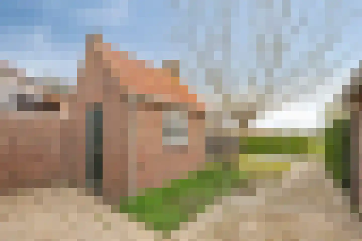Brouwerijstraat 42 Groede thumbnail 23