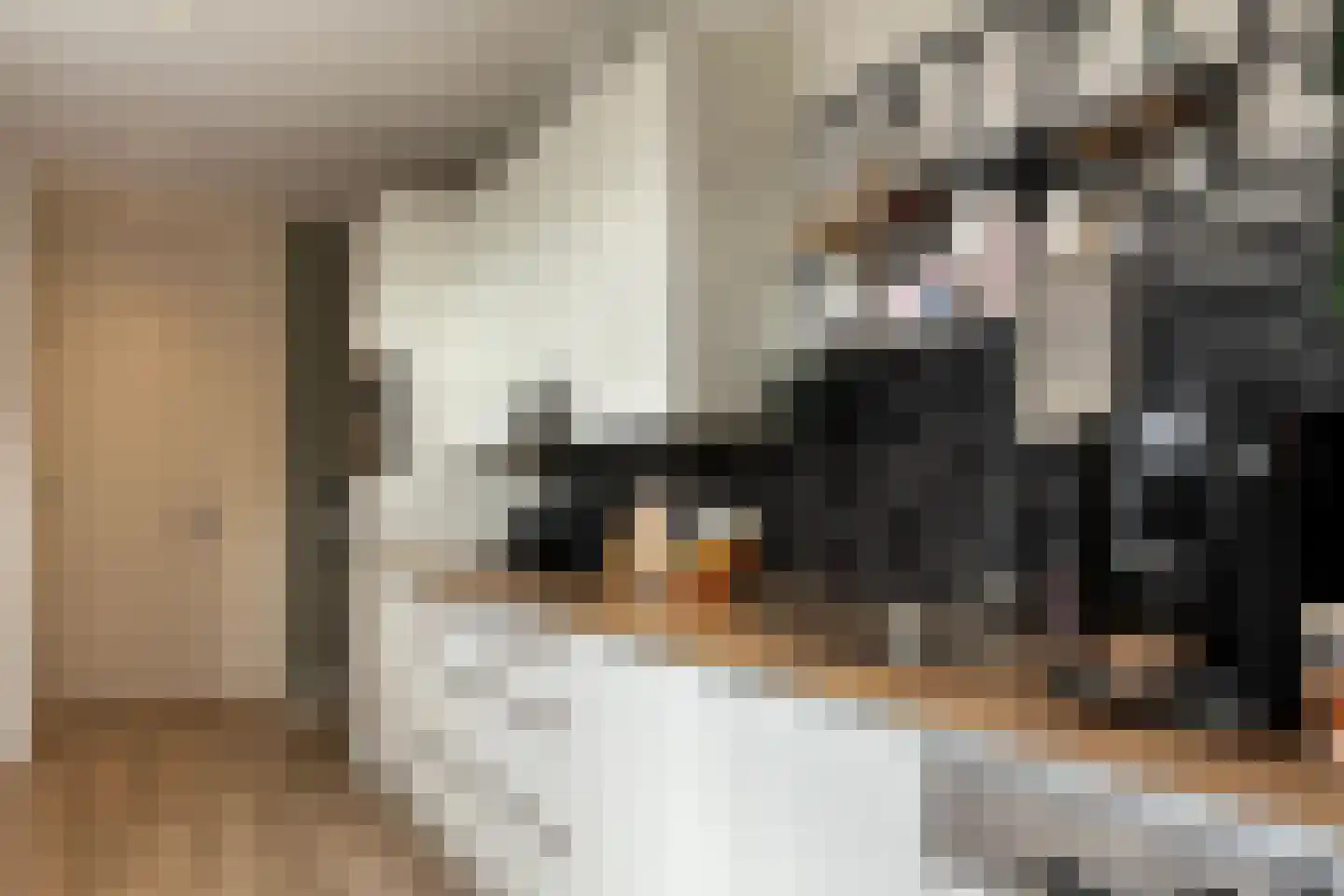 Brouwerijstraat 5 Aardenburg thumbnail 13