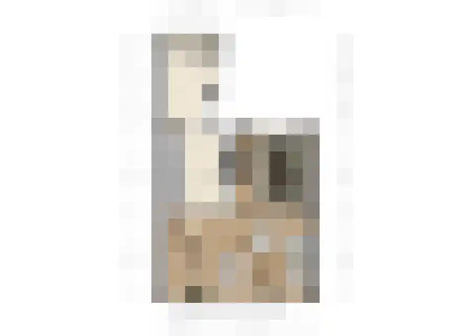 Brouwerijstraat 51 Oostburg thumbnail 35