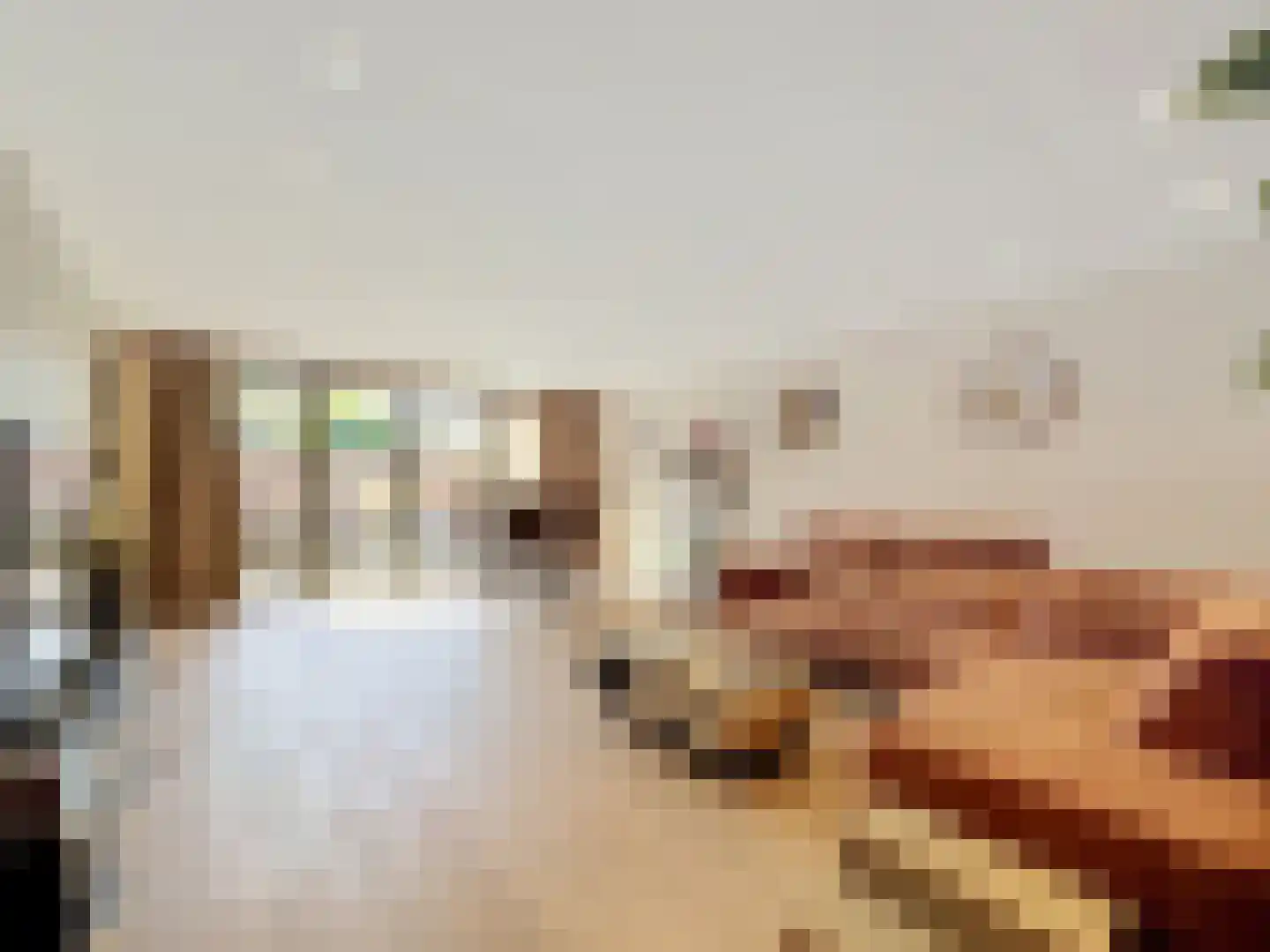 Brouwerijstraat 6 A Aardenburg thumbnail 4
