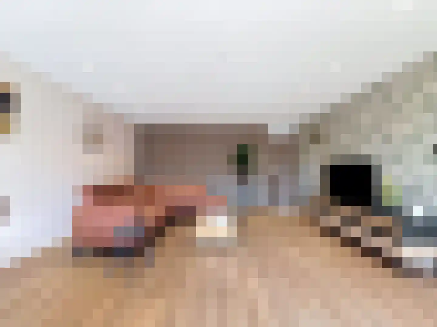 Brouwerijstraat 6 A Aardenburg thumbnail 6