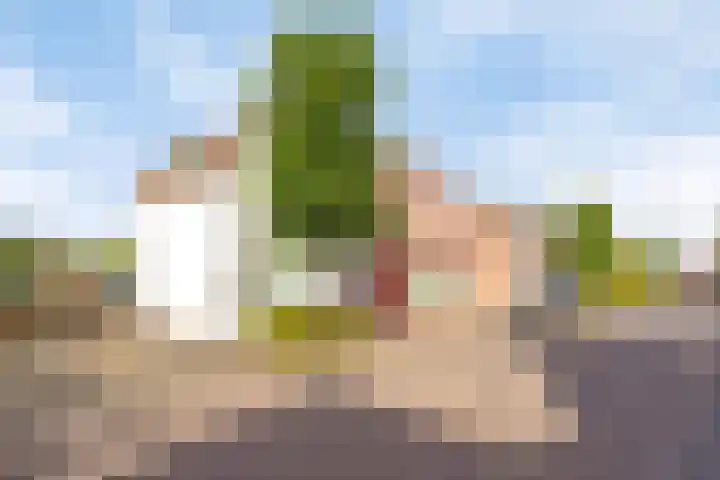 Brouwerijstraat 72 Kapellebrug thumbnail 19