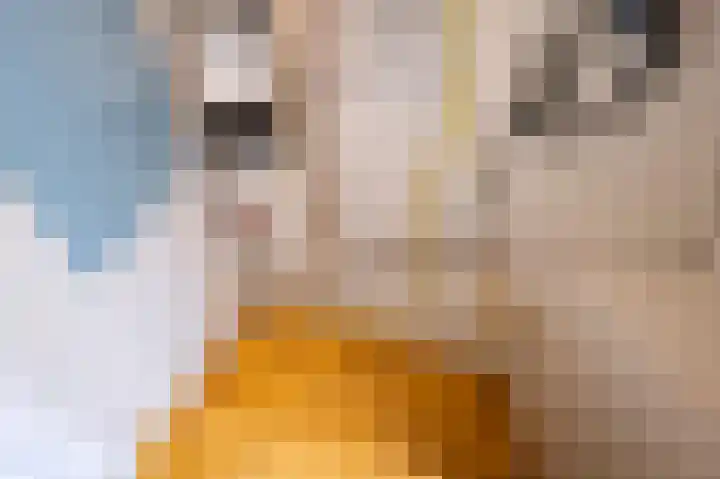 Brouwerijweg 104 Arnhem thumbnail 16