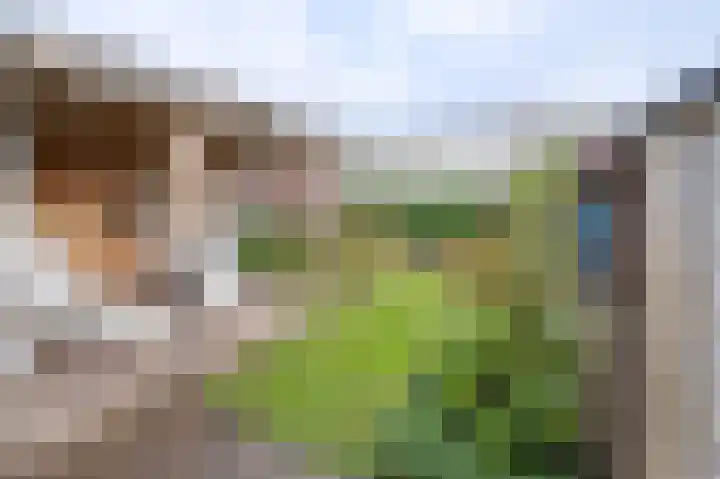Brouwerijweg 104 Arnhem thumbnail 19