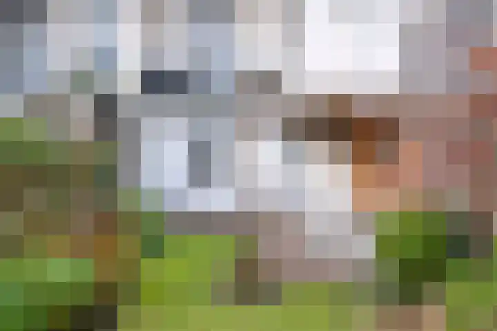 Brouwerijweg 104 Arnhem thumbnail 22