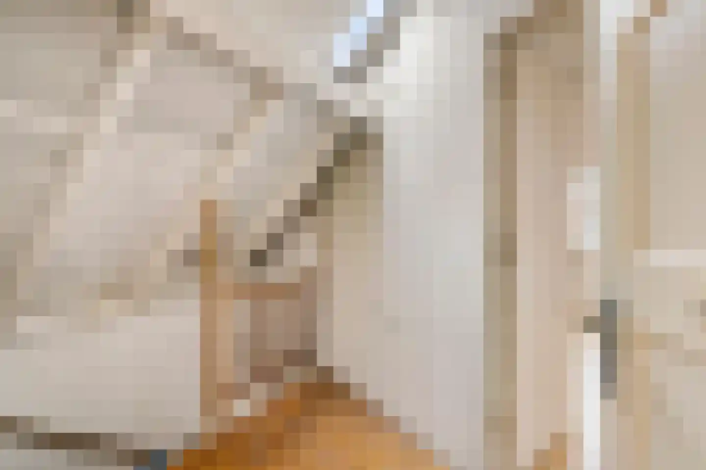 Brouwerijweg 12 Arnhem thumbnail 21