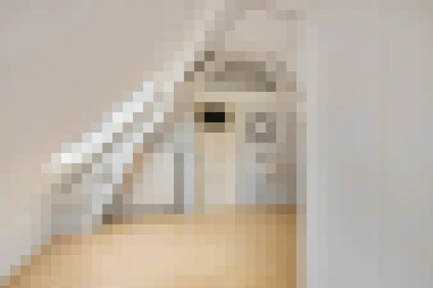 Brouwerijweg 12 Arnhem thumbnail 33