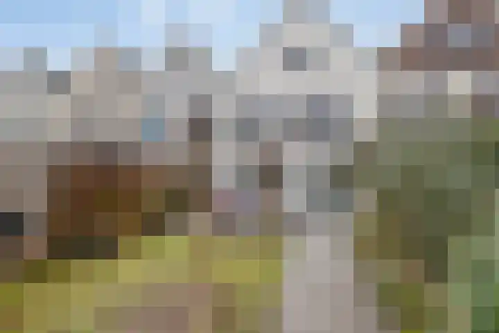 Brouwerijweg 26 Arnhem thumbnail 23