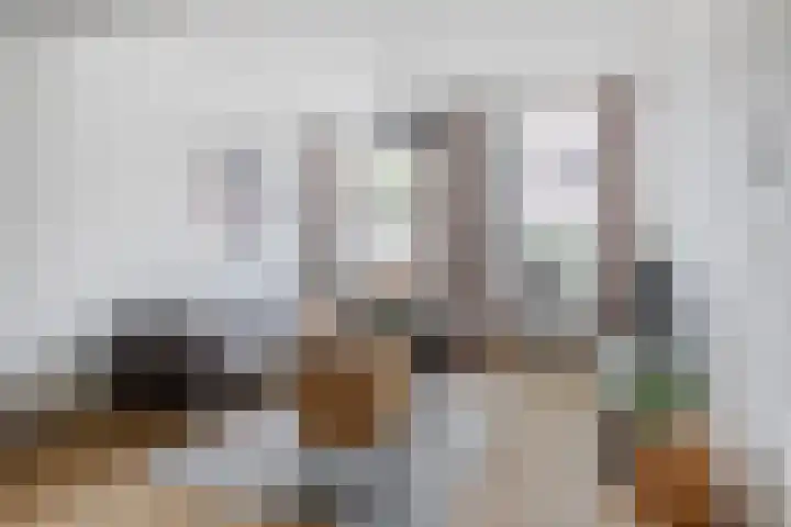 Brouwerijweg 26 Arnhem thumbnail 4