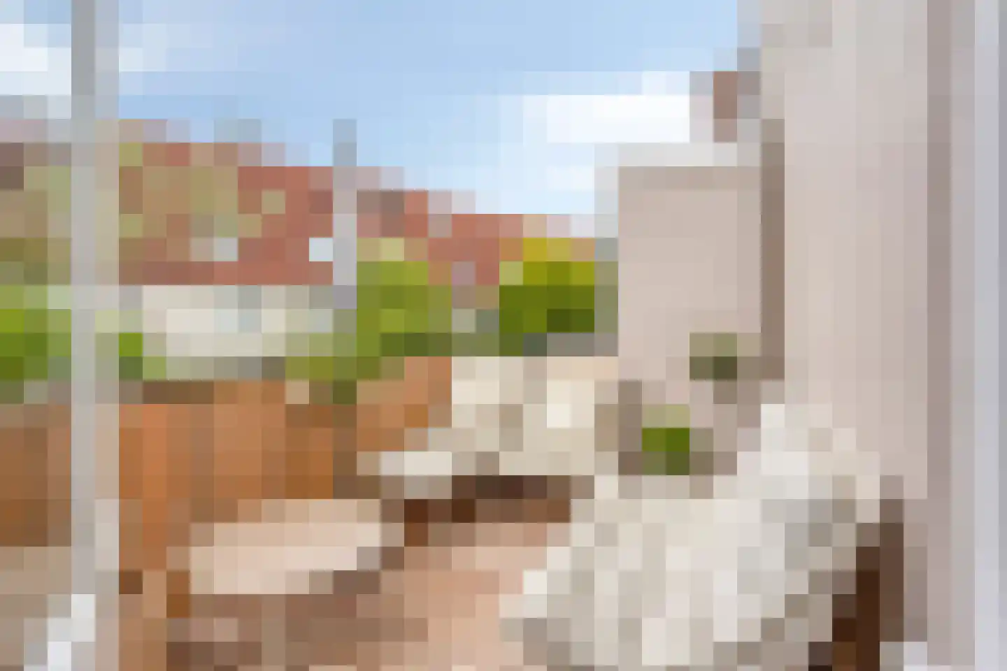 Brouwerijweg 39 Arnhem thumbnail 14