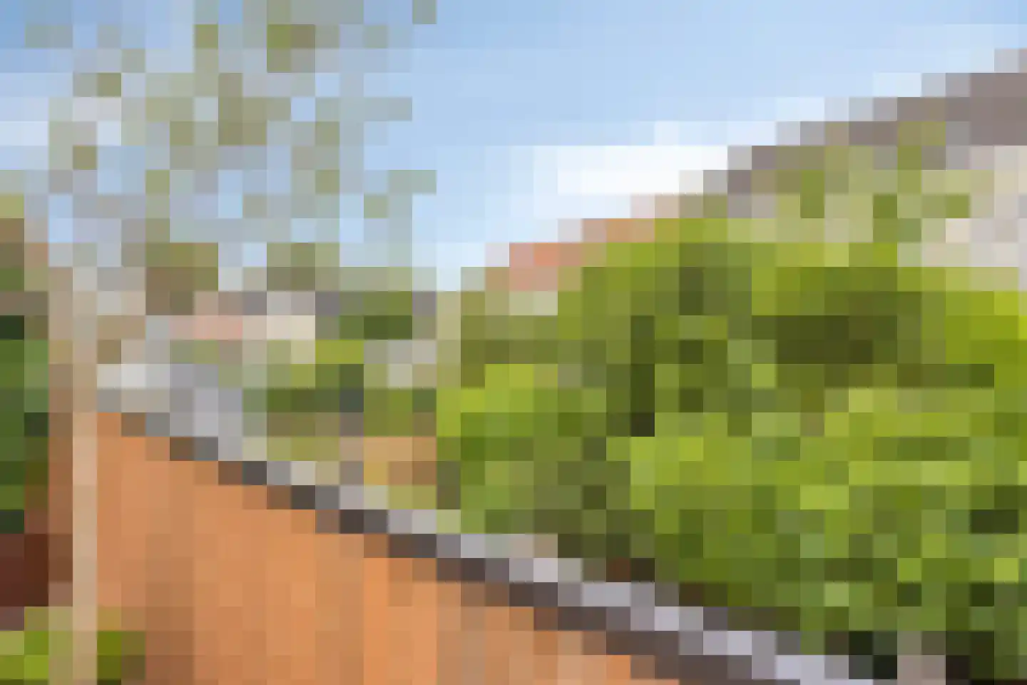 Brouwerijweg 39 Arnhem thumbnail 16