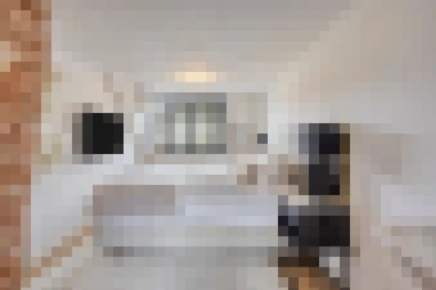 Brouwerijweg 39 Arnhem thumbnail 19
