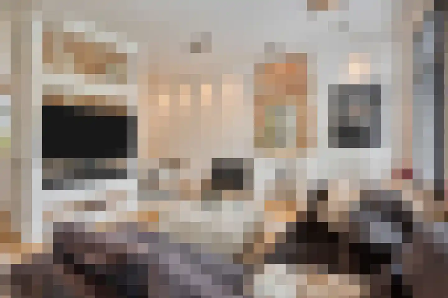 Brouwerijweg 39 Arnhem thumbnail 4