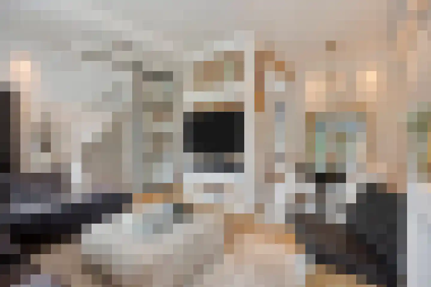 Brouwerijweg 39 Arnhem thumbnail 5