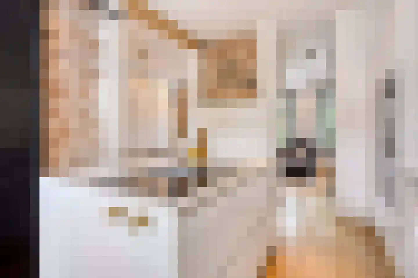 Brouwerijweg 39 Arnhem thumbnail 9
