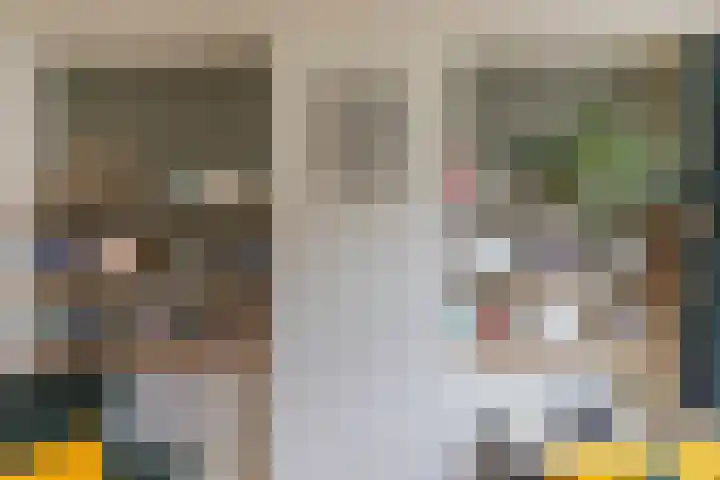 Brouwerijweg 49 Arnhem thumbnail 10