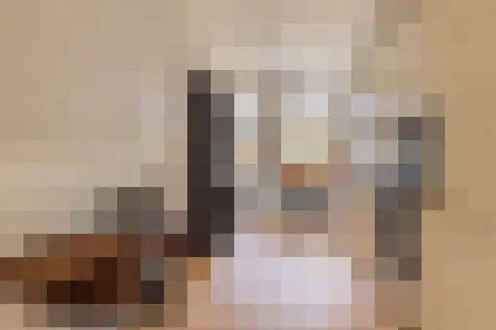Brouwerijweg 49 Arnhem thumbnail 11