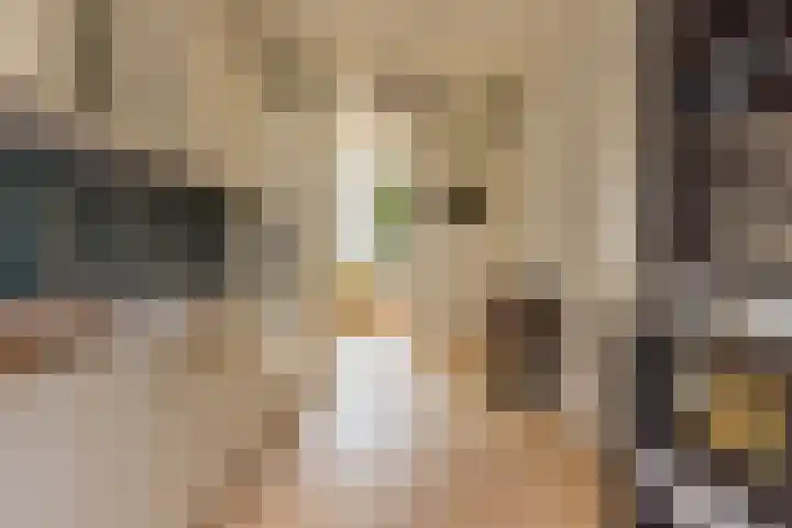 Brouwerijweg 49 Arnhem thumbnail 15