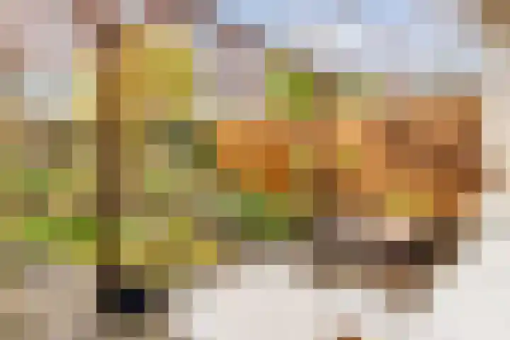 Brouwerijweg 49 Arnhem thumbnail 19