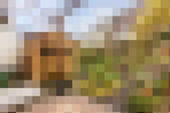 Brouwerijweg 49 Arnhem thumbnail 20