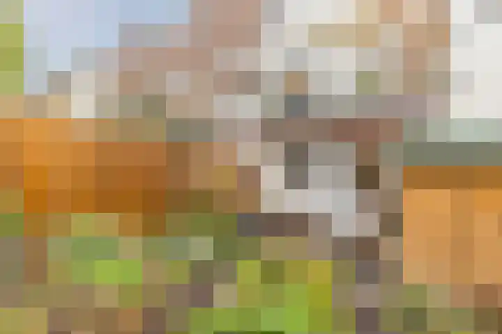 Brouwerijweg 49 Arnhem thumbnail 21