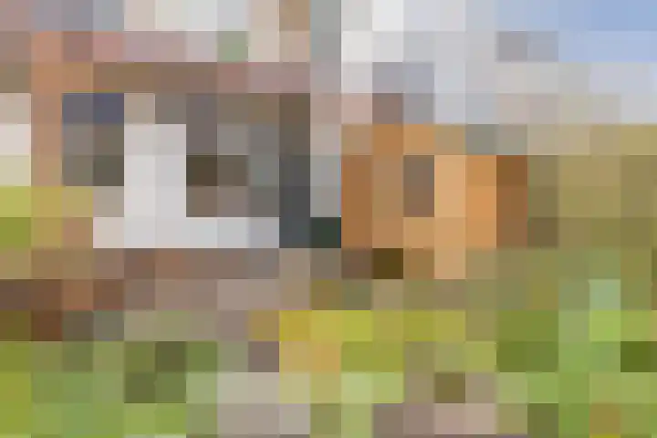 Brouwerijweg 49 Arnhem thumbnail 23