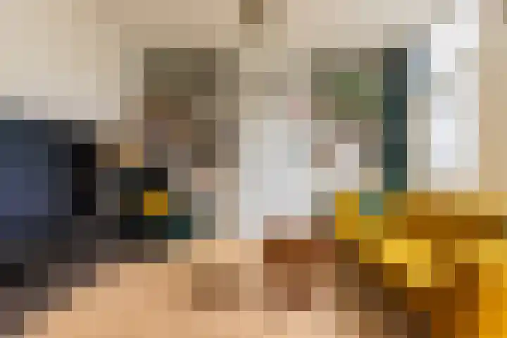 Brouwerijweg 49 Arnhem thumbnail 4