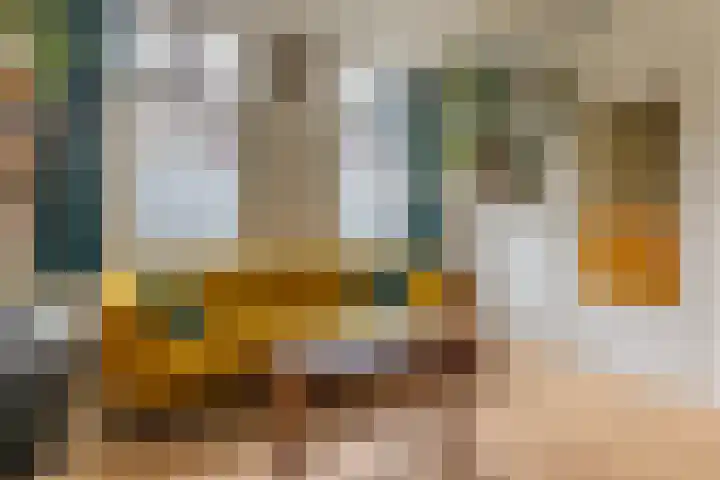Brouwerijweg 49 Arnhem thumbnail 6