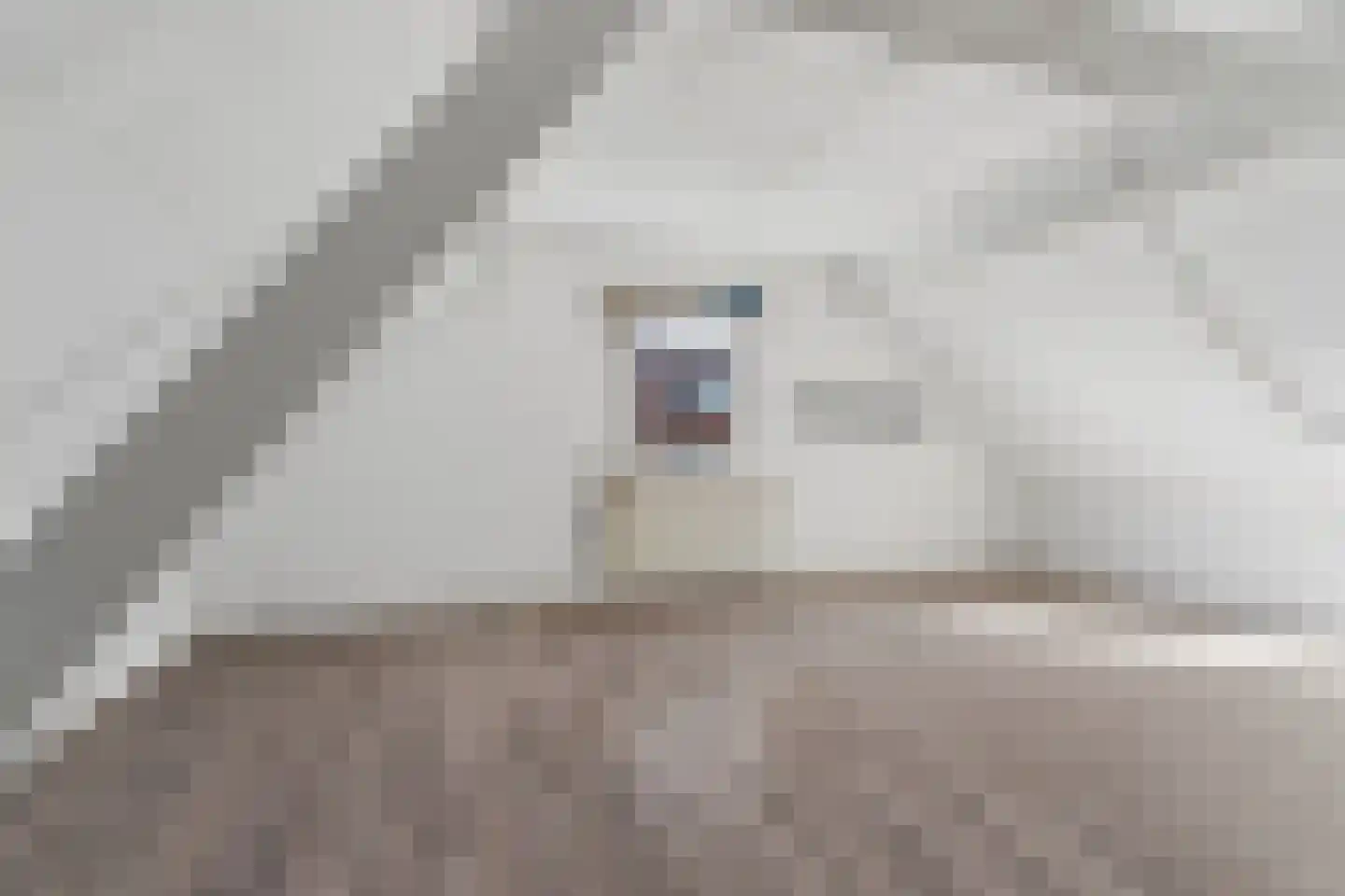 Brouwerijweg 51 Arnhem thumbnail 22