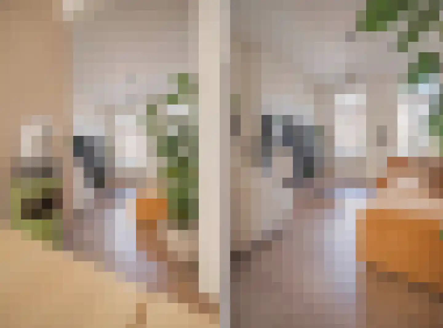 Brouwerijweg 53 Arnhem thumbnail 11