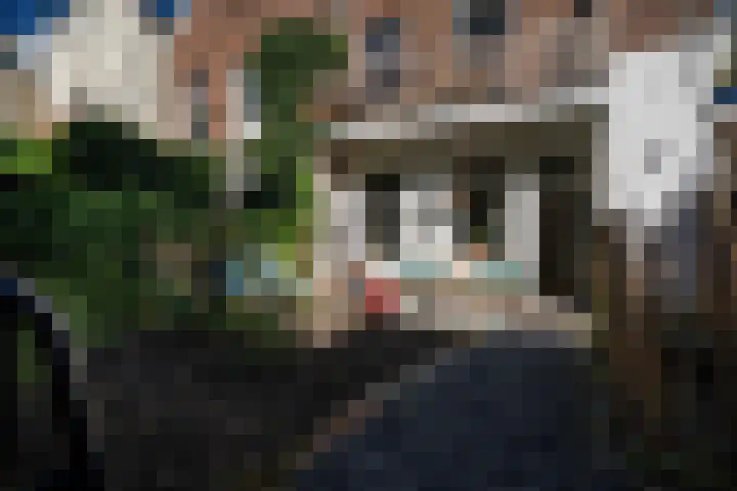 Brouwerijweg 53 Arnhem thumbnail 7