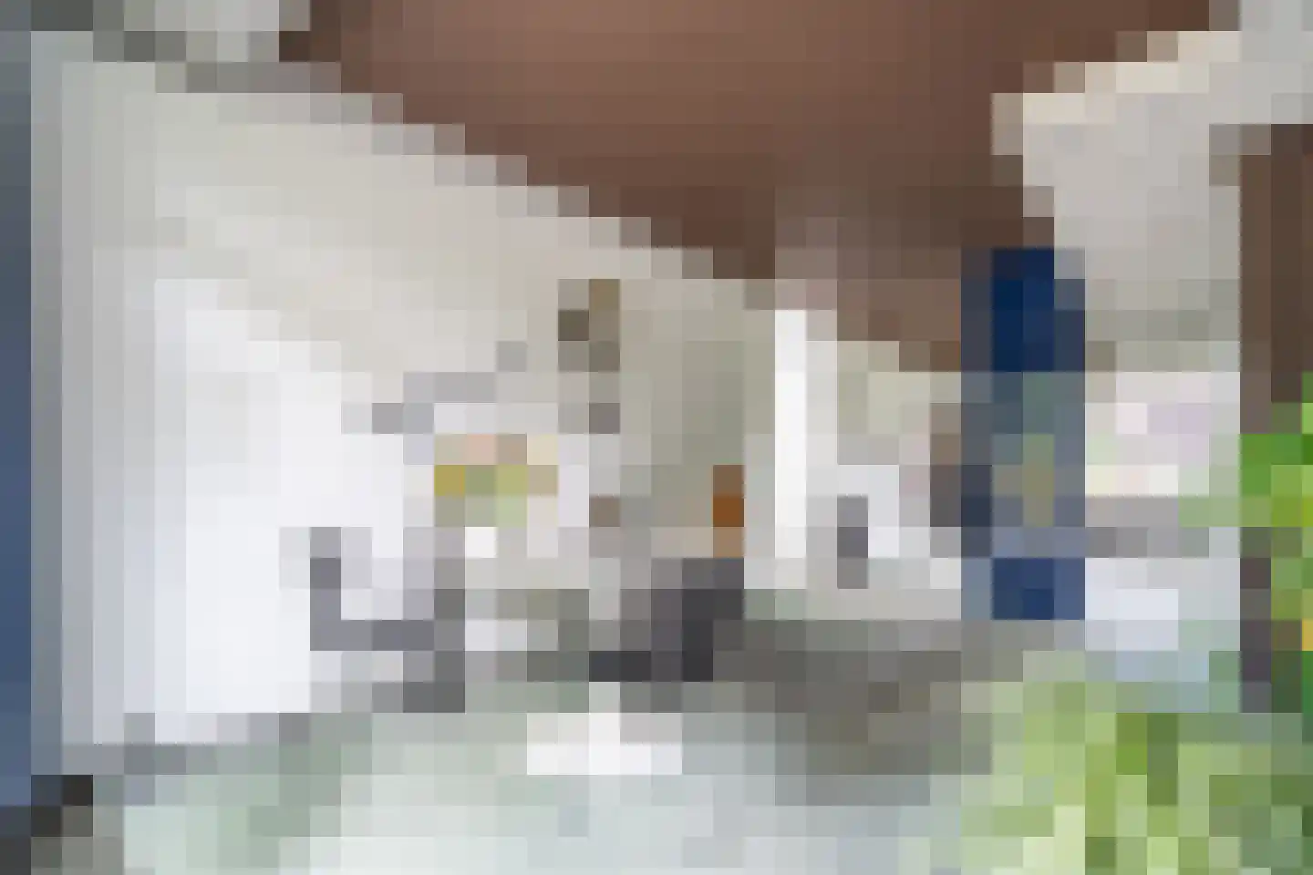 Brouwerlaan 1 Voorschoten thumbnail 15