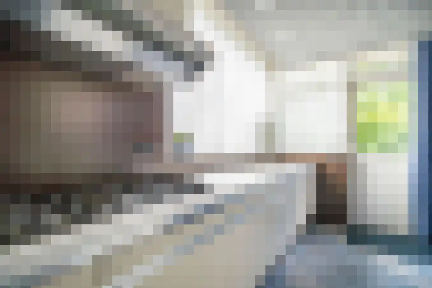 Brouwerlaan 1 Voorschoten thumbnail 16