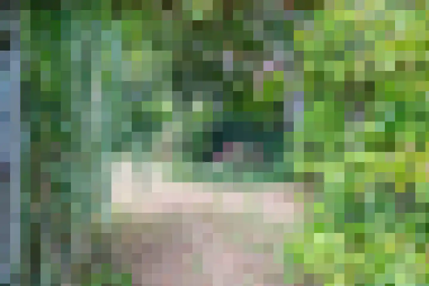 Brouwerlaan 1 Voorschoten thumbnail 32