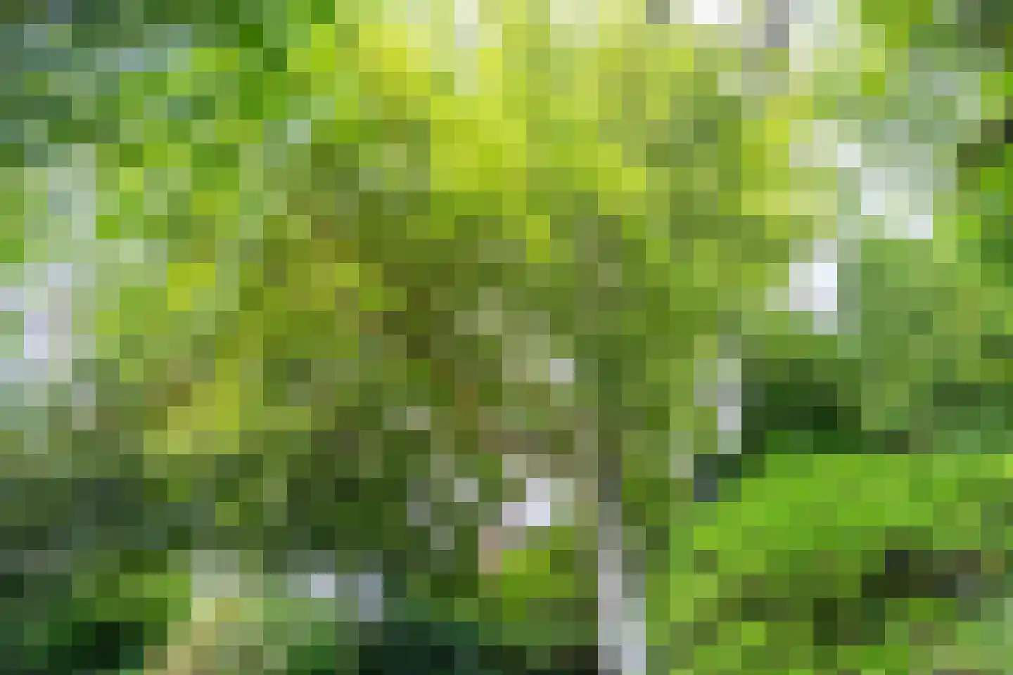 Brouwerlaan 1 Voorschoten thumbnail 33