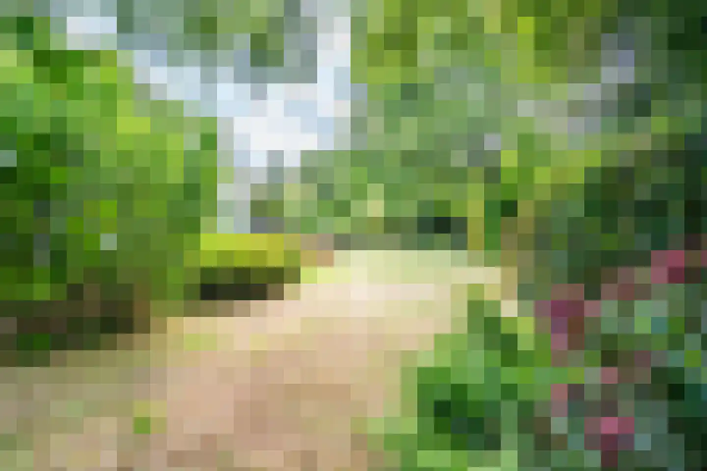 Brouwerlaan 1 Voorschoten thumbnail 35