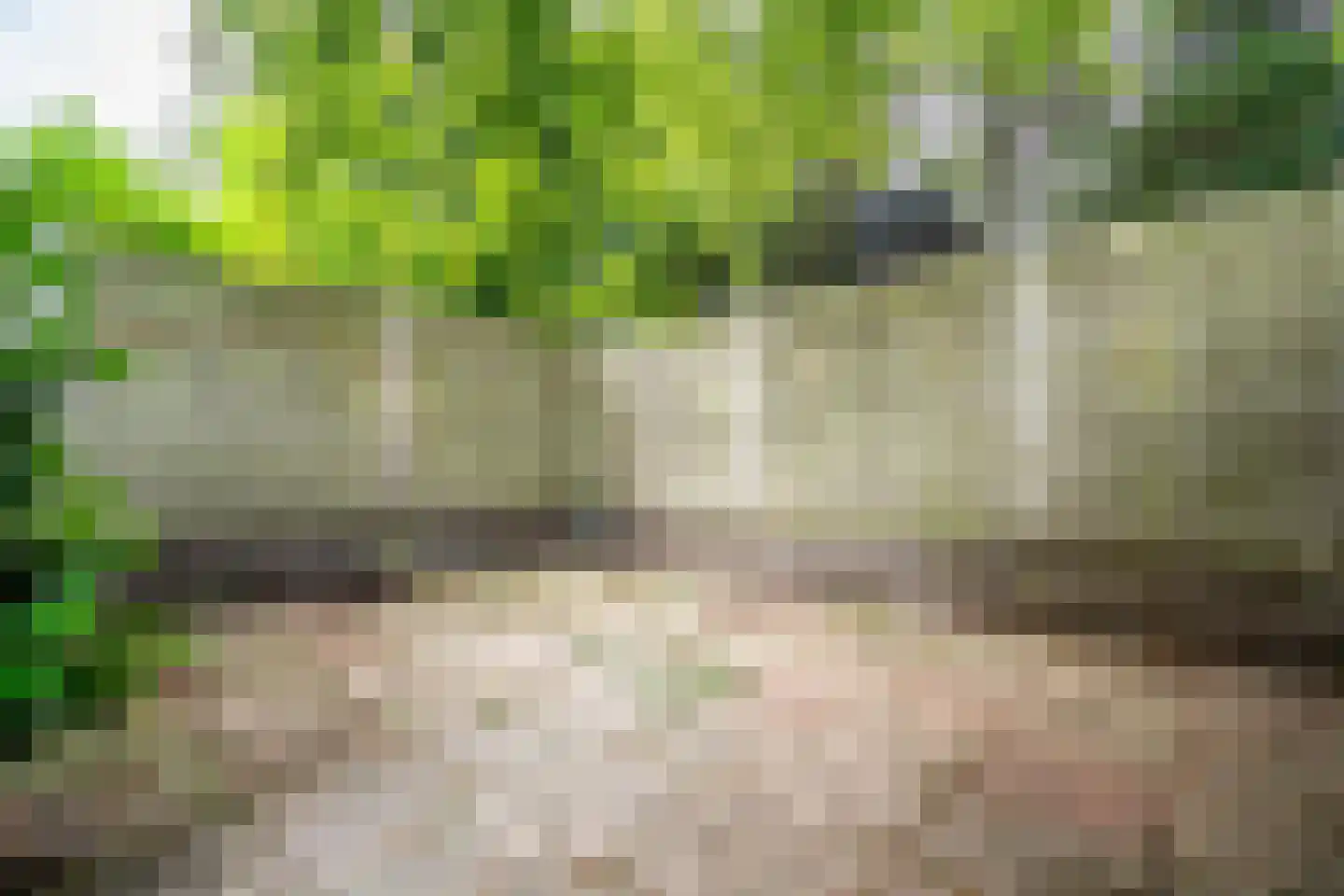 Brouwerlaan 1 Voorschoten thumbnail 36