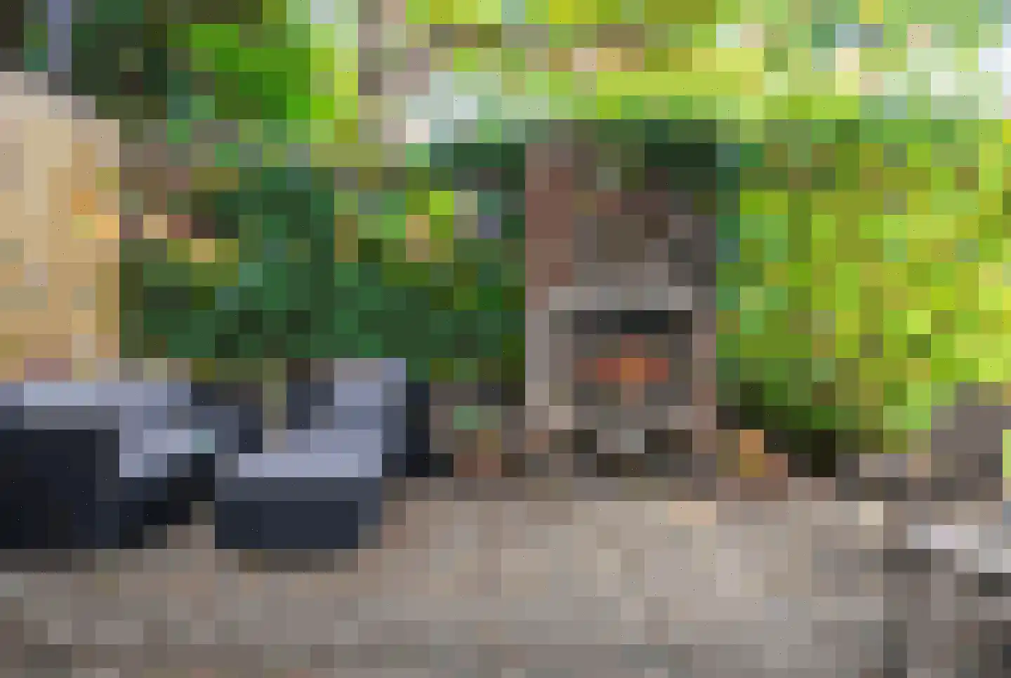 Brouwerlaan 1 Voorschoten thumbnail 38