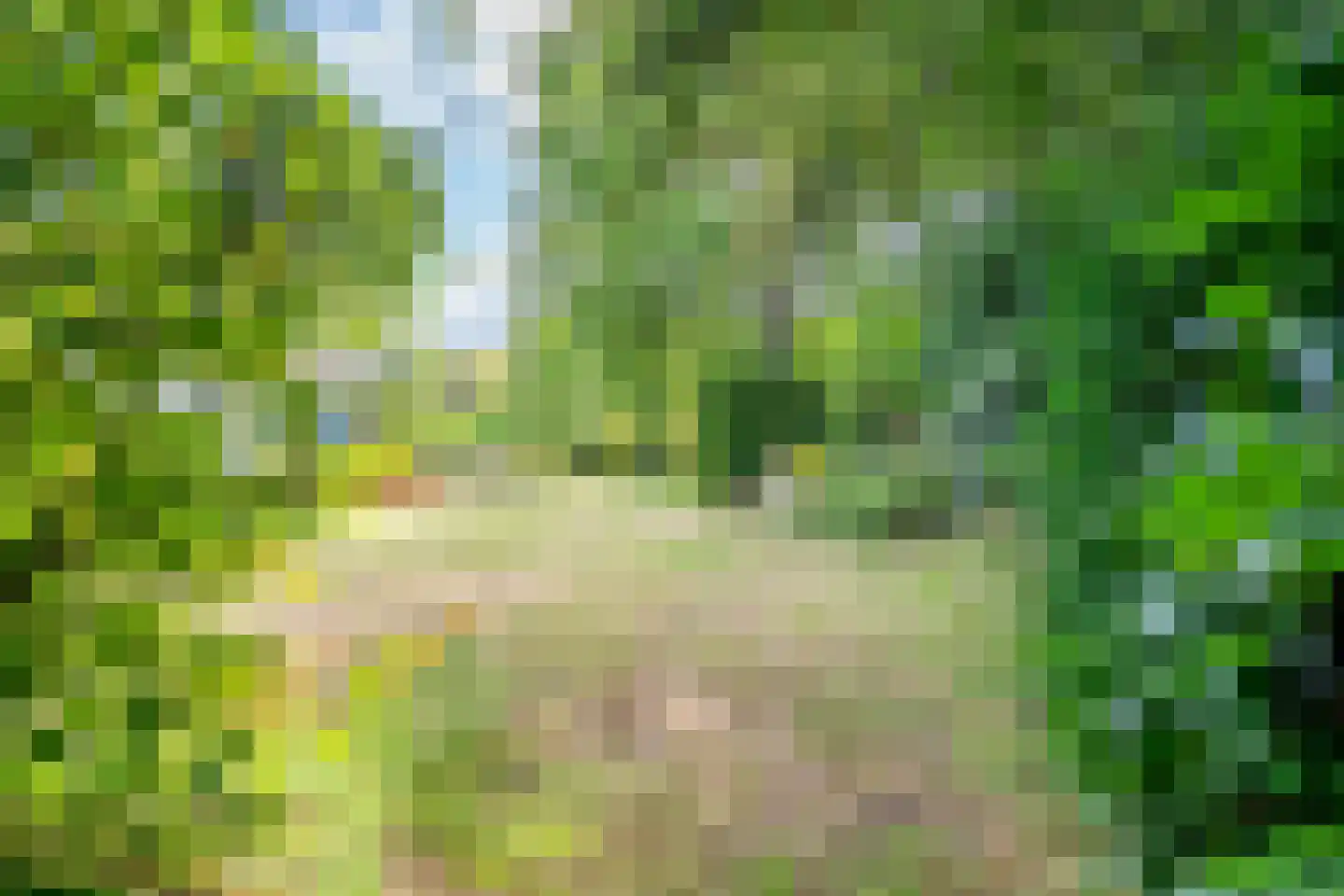 Brouwerlaan 1 Voorschoten thumbnail 39