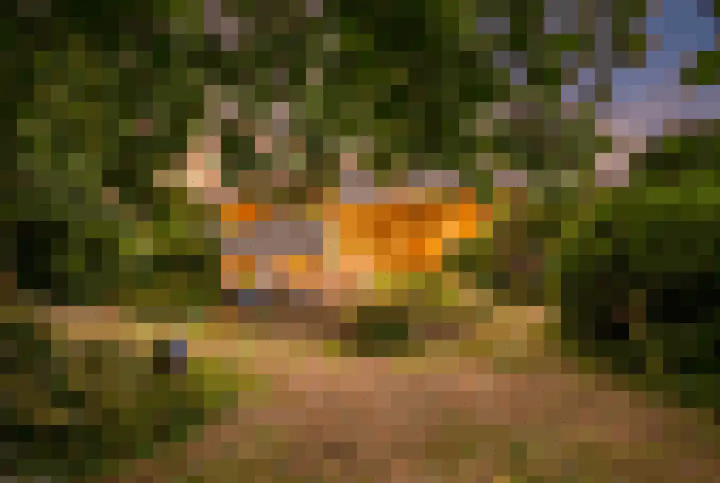 Brouwerlaan 1 Voorschoten thumbnail 42
